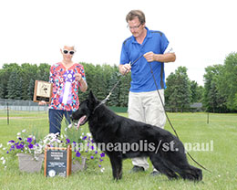 Reserve Winners Dog