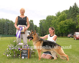 Reserve Winners Dog