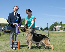 Reserve Winners Dog