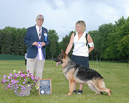 Reserve Winners Dog