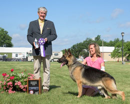 Reserve Winners Dog