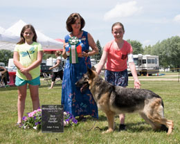 Best Junior Handler