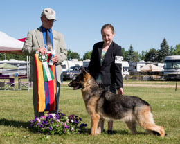 Best Junior Handler