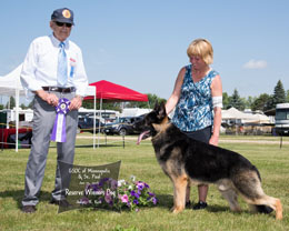 Reserve Winners Dog