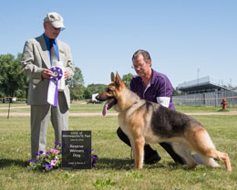 Reserve Winners Dog