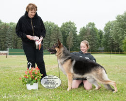 Reserve Best Junior Handler